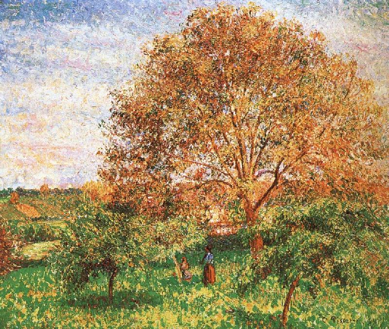 Camille Pissarro Red sky under the apple tree oil painting picture